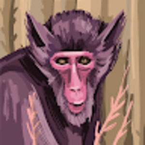 Meet your Posher, Paris